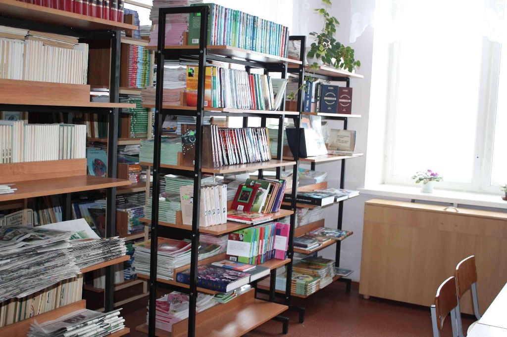 В библиотеке имеется: необходимый библиотечный фонд.